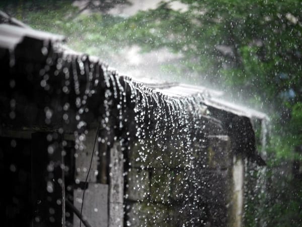 Mơ thấy một cơn mưa lớn