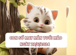 Con số đẹp nên chọn tuổi Mão ngày 22/6/2024 thứ 7 hôm nay