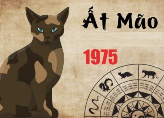 tuổi Ất Mão