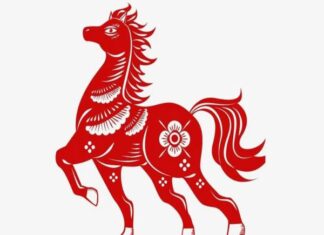 Số May Mắn Tuổi Ngọ: Bí Quyết Thu Hút Tài Lộc Số May Mắn Tuổi Ngọ: Bí Quyết Thu Hút Tài Lộc