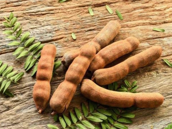 Nằm mơ thấy quả me có ý nghĩa đặc biệt về tài chính