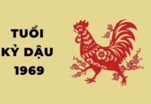 tuổi kỷ dậu