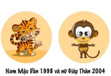 Nam tuổi Dần 1998 nữ tuổi Thân 2004 kết hôn có bền lâu?