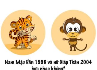 Nam tuổi Dần 1998 nữ tuổi Thân 2004 kết hôn có bền lâu?