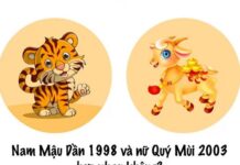 Nam tuổi Dần 1998 nữ tuổi Mùi 2003 lấy nhau tốt xấu sao?