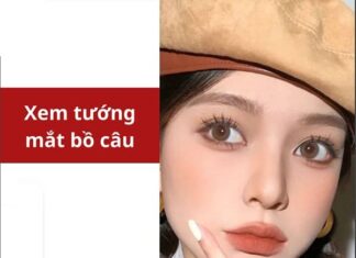 Xem tướng mắt bồ câu luận vận mệnh tình duyên sự nghiệp