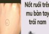 Ý nghĩa nốt ruồi mu bàn tay phải và trái ở nam nữ chuẩn nốt ruồi mu bàn tay