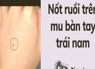 Ý nghĩa nốt ruồi mu bàn tay phải và trái ở nam nữ chuẩn nốt ruồi mu bàn tay