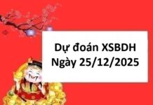 Dự đoán xổ số Bình Định ngày 25 tháng 12 năm 2025 chuẩn xác Dự đoán xổ số Bình Định ngày 25 tháng 12 năm 2025