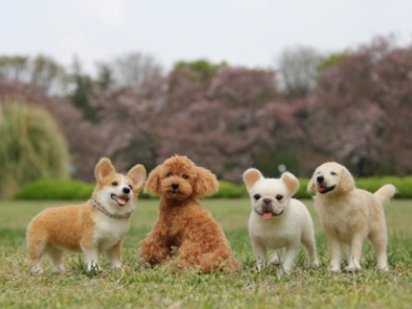 Nằm mơ thấy đàn chó con là điềm gì, số mấy trúng to?