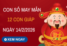 Con số may mắn ngày 14/02 mang tài lộc cho 12 con giáp Tổng quan vận khí ngày 14/02/2026