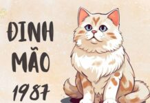 Tử vi con số tài lộc tuổi Đinh Mão Chủ Nhật ngày 15/2