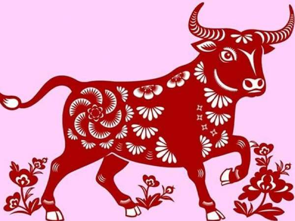 Nằm mơ thấy lái xe ô tô điềm báo gì, chọn con gì trúng lớn?