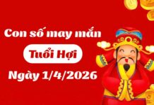 Thu hút tài lộc với con số may mắn ngày 01/04/2026 tuổi Hợi con số may mắn ngày 01/04/2026 tuổi Hợi