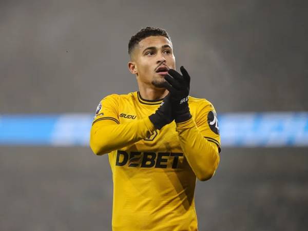 Những thành tích cá nhân nổi bật của Joao Gomes